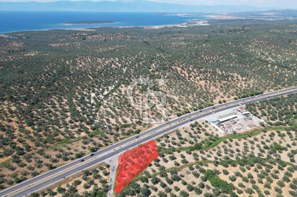 İzmir Yoluna Cepheli Köşe Konumda Satılık 1.880 m² Zeytinlik