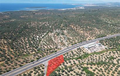 İzmir Yoluna Cepheli Köşe Konumda Satılık 1.880 m² Zeytinlik
