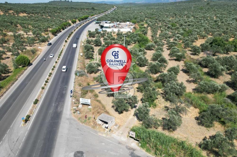 İzmir Yoluna Cepheli Köşe Konumda Satılık 1.880 m² Zeytinlik
