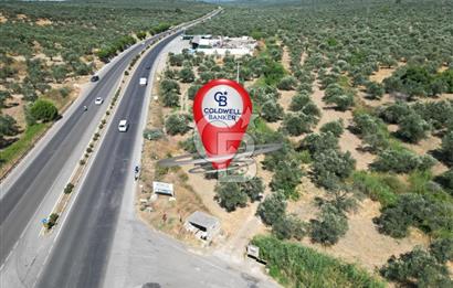 İzmir Yoluna Cepheli Köşe Konumda Satılık 1.880 m² Zeytinlik