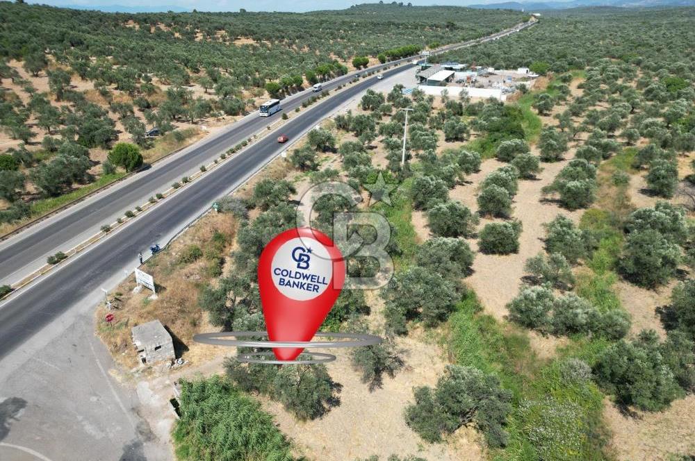 İzmir Yoluna Cepheli Köşe Konumda Satılık 1.880 m² Zeytinlik