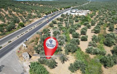 İzmir Yoluna Cepheli Köşe Konumda Satılık 1.880 m² Zeytinlik