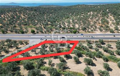 İzmir Yoluna Cepheli Köşe Konumda Satılık 1.880 m² Zeytinlik