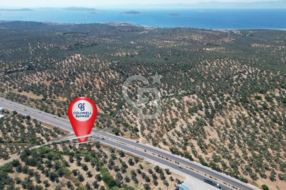 İzmir Yoluna Cepheli Köşe Konumda Satılık 1.880 m² Zeytinlik
