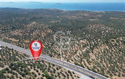 İzmir Yoluna Cepheli Köşe Konumda Satılık 1.880 m² Zeytinlik