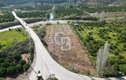 SEFERİHİSAR KAVAKDEREDE ASFALT YOLA CEPHELİ TARLA