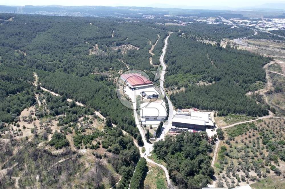 BORNOVA GÖKDERE'DE KİRALIK 4600 M2 FABRİKA