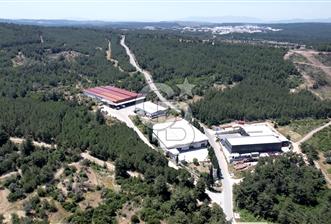 BORNOVA GÖKDERE'DE KİRALIK 4600 M2 FABRİKA - 1 - 362616