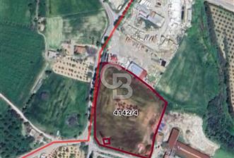 URLA CAMİATİK MAHALLESİNDE KOOPERATİF HİSSELİ SATILIK TARLA - 1 - 362637