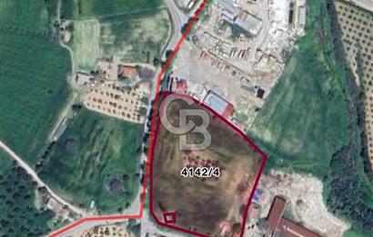 URLA CAMİATİK MAHALLESİNDE KOOPERATİF HİSSELİ SATILIK TARLA