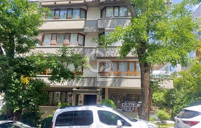 Gop Boğaz sokak Kiralık Ofis,Konut