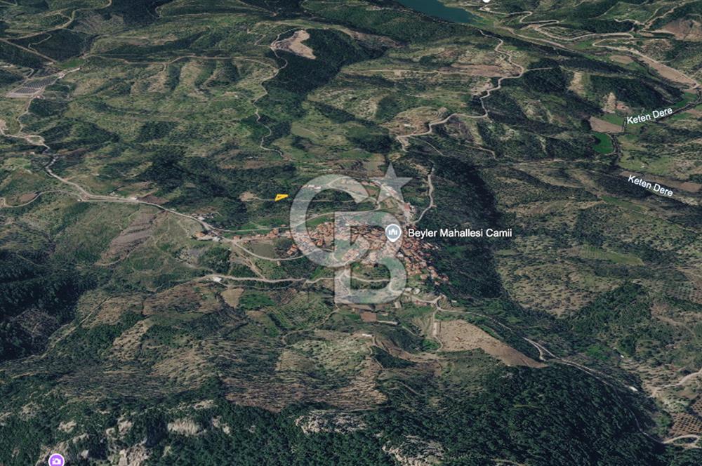 Seferihisar Beylerde Köyü'nde Yatırımlık Satılık Zeytinlik