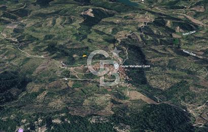 Seferihisar Beylerde Köyü'nde Yatırımlık Satılık Zeytinlik