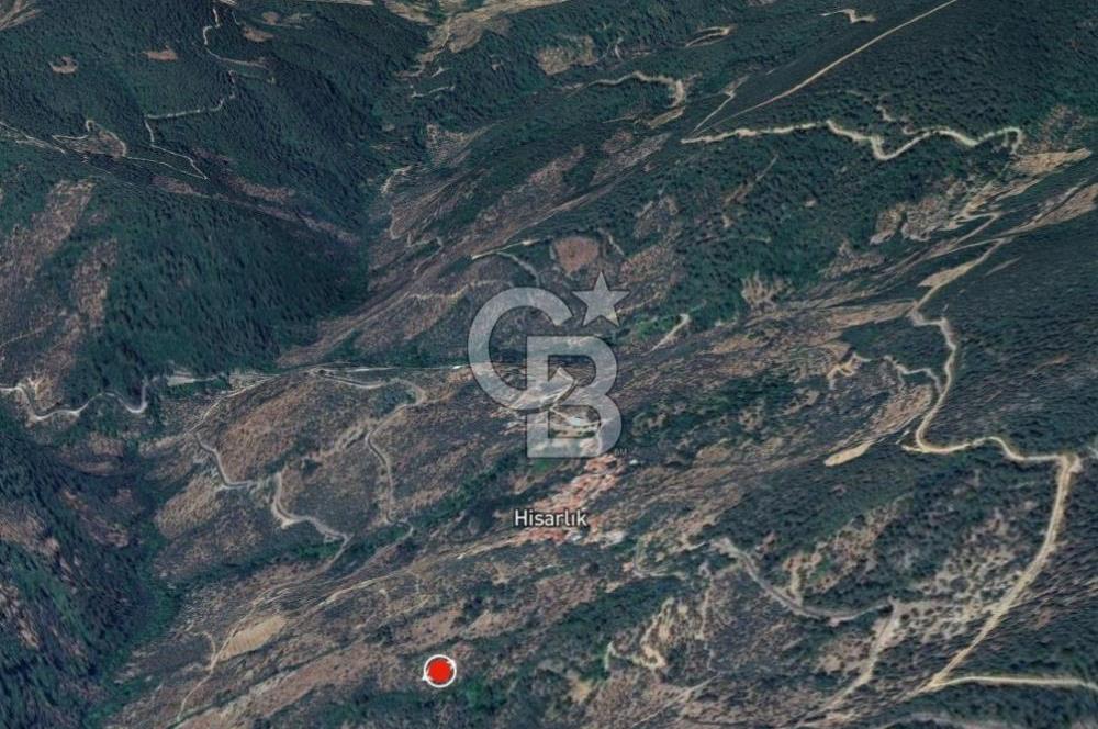 İzmir Bayındır Hisarlık'ta Uygun Fiyata Yatırımlık Zeytinlik