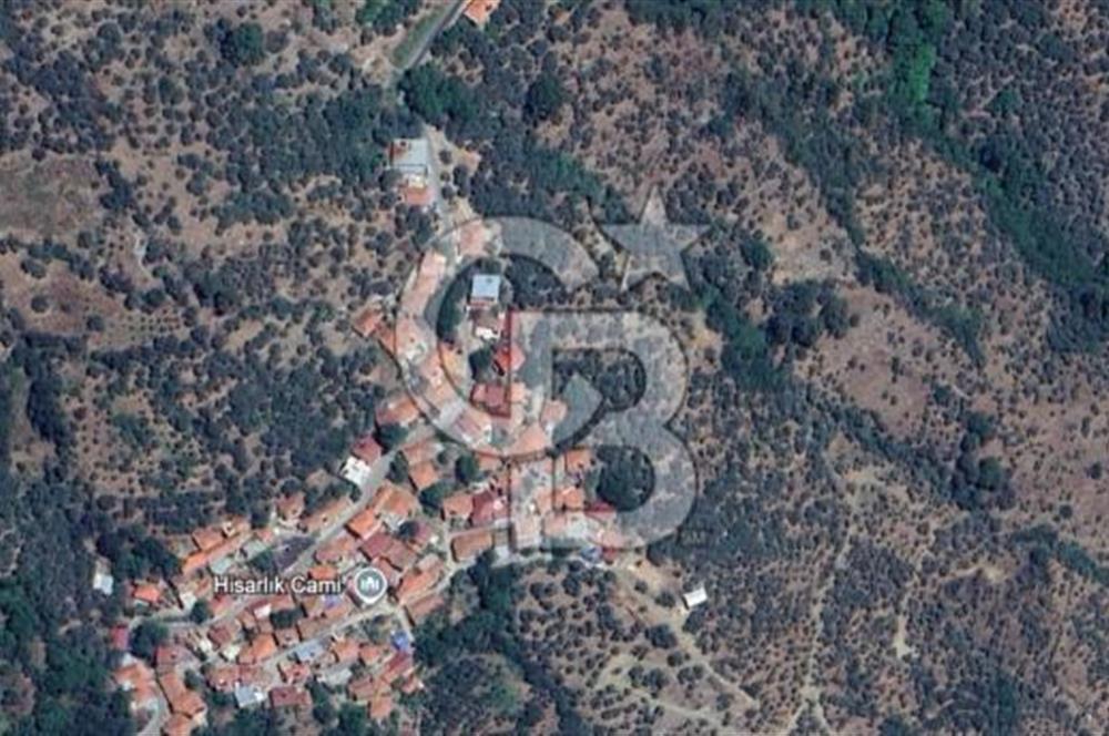 İzmir Bayındır Hisarlık'ta Uygun Fiyata Yatırımlık Zeytinlik