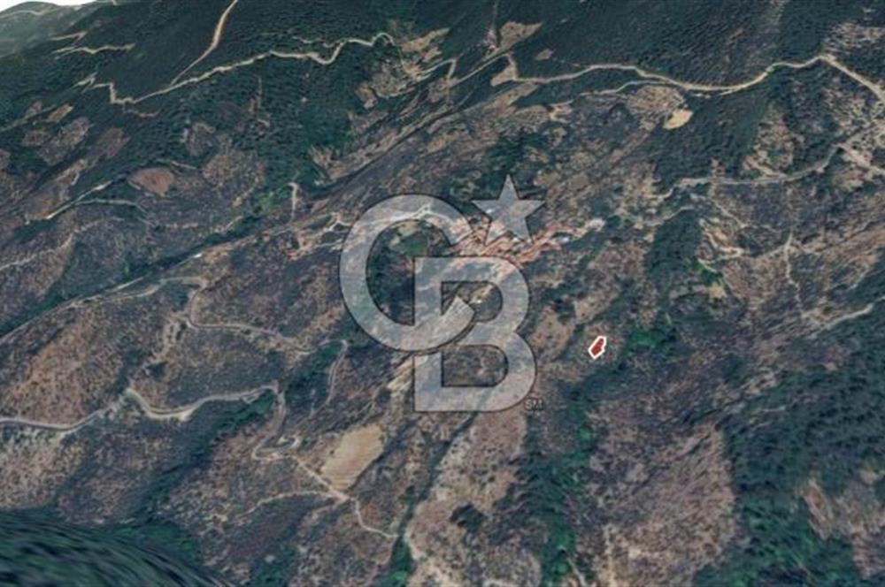 İzmir Bayındır Hisarlık'ta Uygun Fiyata Yatırımlık Zeytinlik