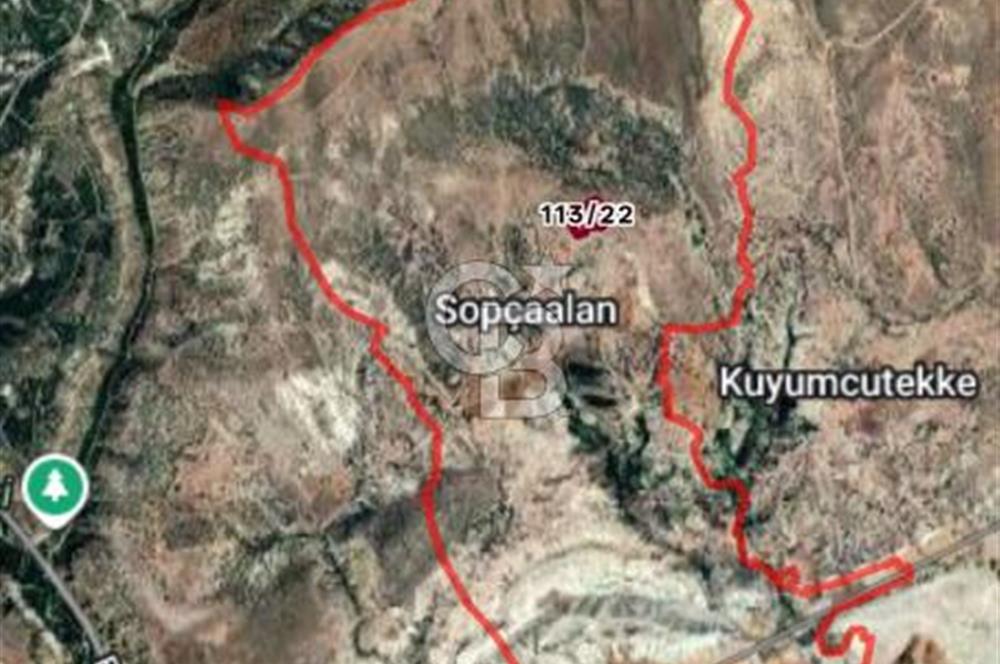 BEYPAZARI SOPÇAALAN MAH'DE TEK/KÖK TAPU UYGUN FİYAT FIRSAT TARLA