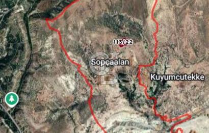 BEYPAZARI SOPÇAALAN MAH'DE TEK/KÖK TAPU UYGUN FİYAT FIRSAT TARLA