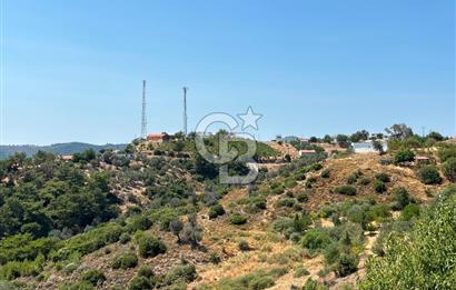 Seferihisar Beylerde Köyü'nde Yatırımlık Satılık Zeytinlik