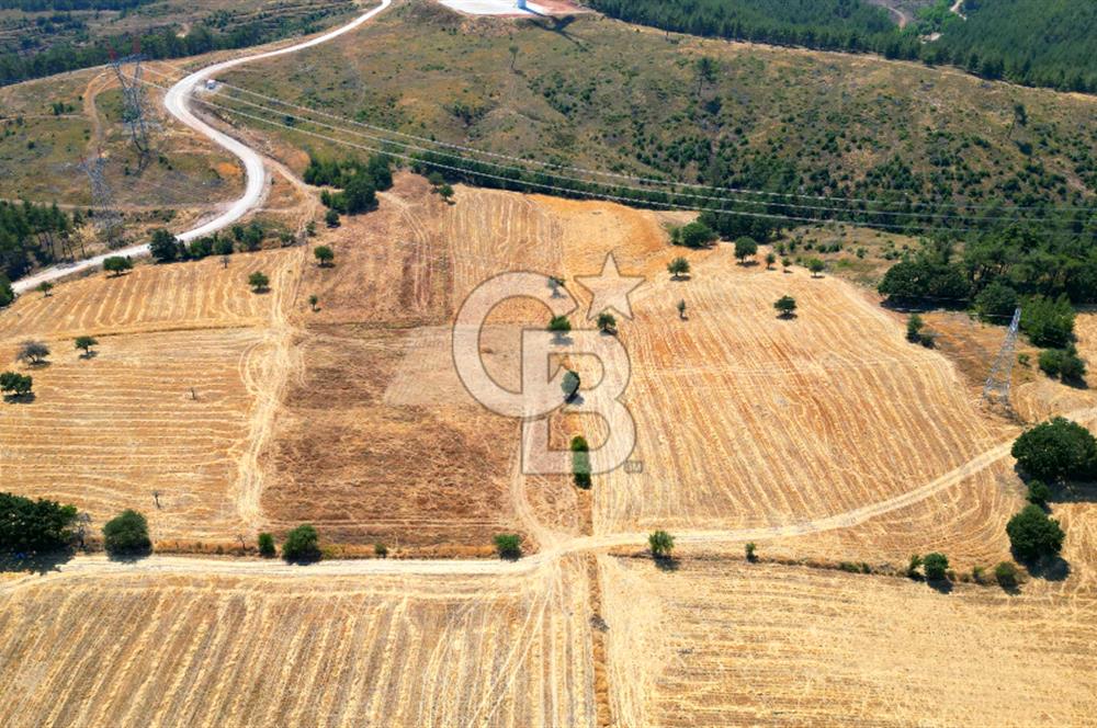 ÇANAKKALE MERKEZ DENİZGÖRÜNDÜ KÖYÜ 8.732 m² SATILIK TARLA