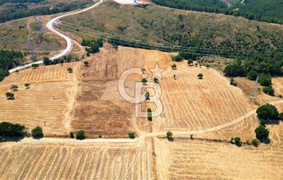ÇANAKKALE MERKEZ DENİZGÖRÜNDÜ KÖYÜ 8.732 m² SATILIK TARLA