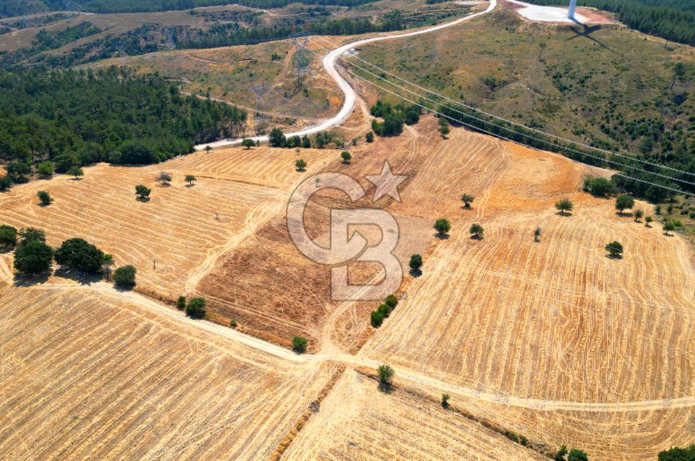 ÇANAKKALE MERKEZ DENİZGÖRÜNDÜ KÖYÜ 8.732 m² SATILIK TARLA