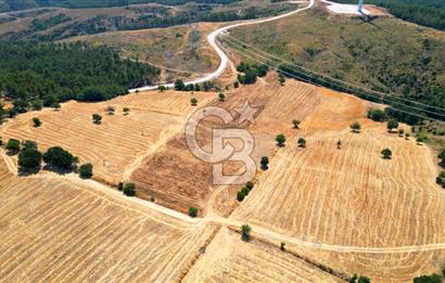 ÇANAKKALE MERKEZ DENİZGÖRÜNDÜ KÖYÜ 8.732 m² SATILIK TARLA