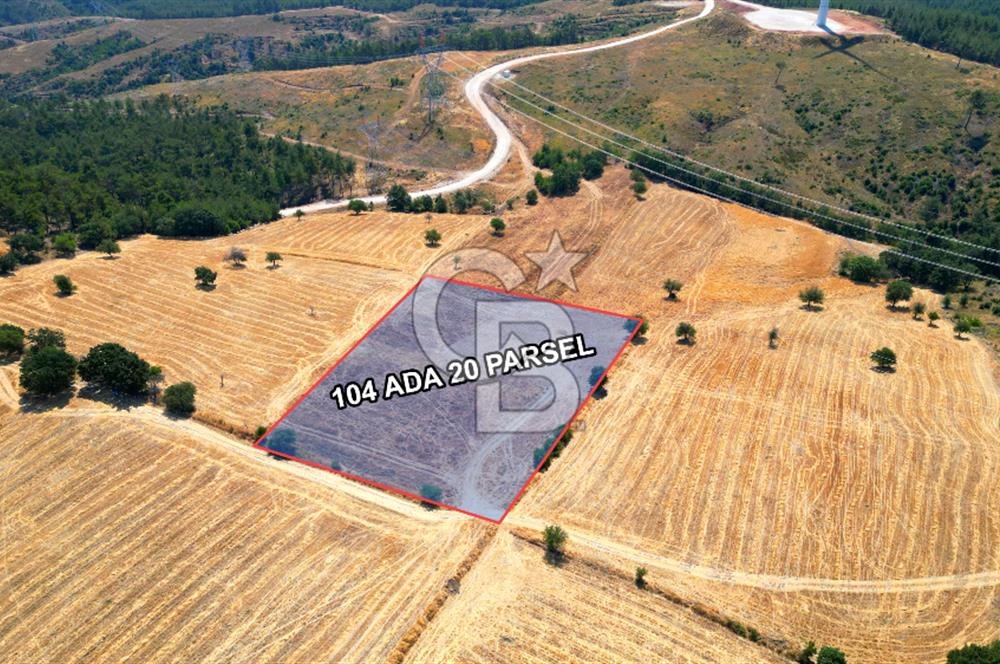 ÇANAKKALE MERKEZ DENİZGÖRÜNDÜ KÖYÜ 8.732 m² SATILIK TARLA