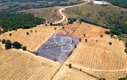 ÇANAKKALE MERKEZ DENİZGÖRÜNDÜ KÖYÜ 8.732 m² SATILIK TARLA