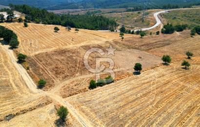 ÇANAKKALE MERKEZ DENİZGÖRÜNDÜ KÖYÜ 8.732 m² SATILIK TARLA