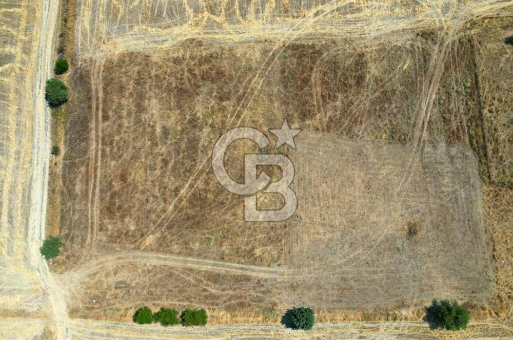ÇANAKKALE MERKEZ DENİZGÖRÜNDÜ KÖYÜ 8.732 m² SATILIK TARLA