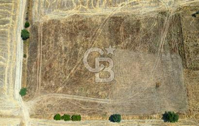 ÇANAKKALE MERKEZ DENİZGÖRÜNDÜ KÖYÜ 8.732 m² SATILIK TARLA