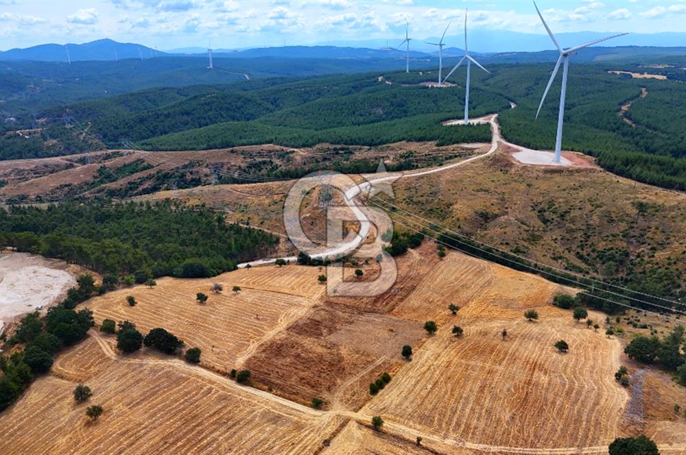 ÇANAKKALE MERKEZ DENİZGÖRÜNDÜ KÖYÜ 8.732 m² SATILIK TARLA