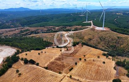 ÇANAKKALE MERKEZ DENİZGÖRÜNDÜ KÖYÜ 8.732 m² SATILIK TARLA
