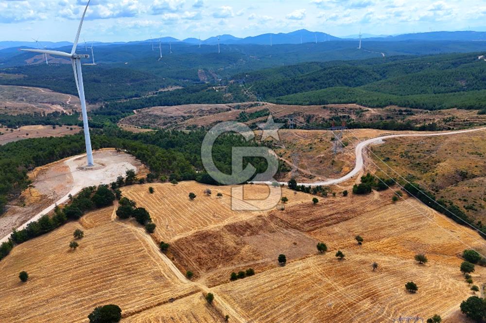 ÇANAKKALE MERKEZ DENİZGÖRÜNDÜ KÖYÜ 8.732 m² SATILIK TARLA