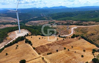 ÇANAKKALE MERKEZ DENİZGÖRÜNDÜ KÖYÜ 8.732 m² SATILIK TARLA