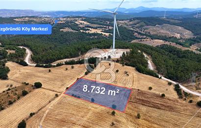 ÇANAKKALE MERKEZ DENİZGÖRÜNDÜ KÖYÜ 8.732 m² SATILIK TARLA