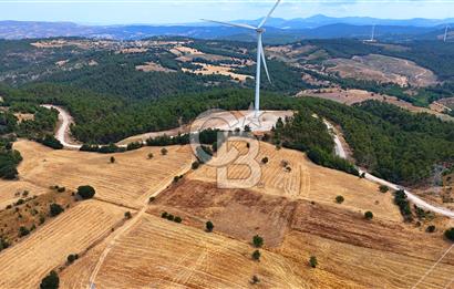 ÇANAKKALE MERKEZ DENİZGÖRÜNDÜ KÖYÜ 8.732 m² SATILIK TARLA