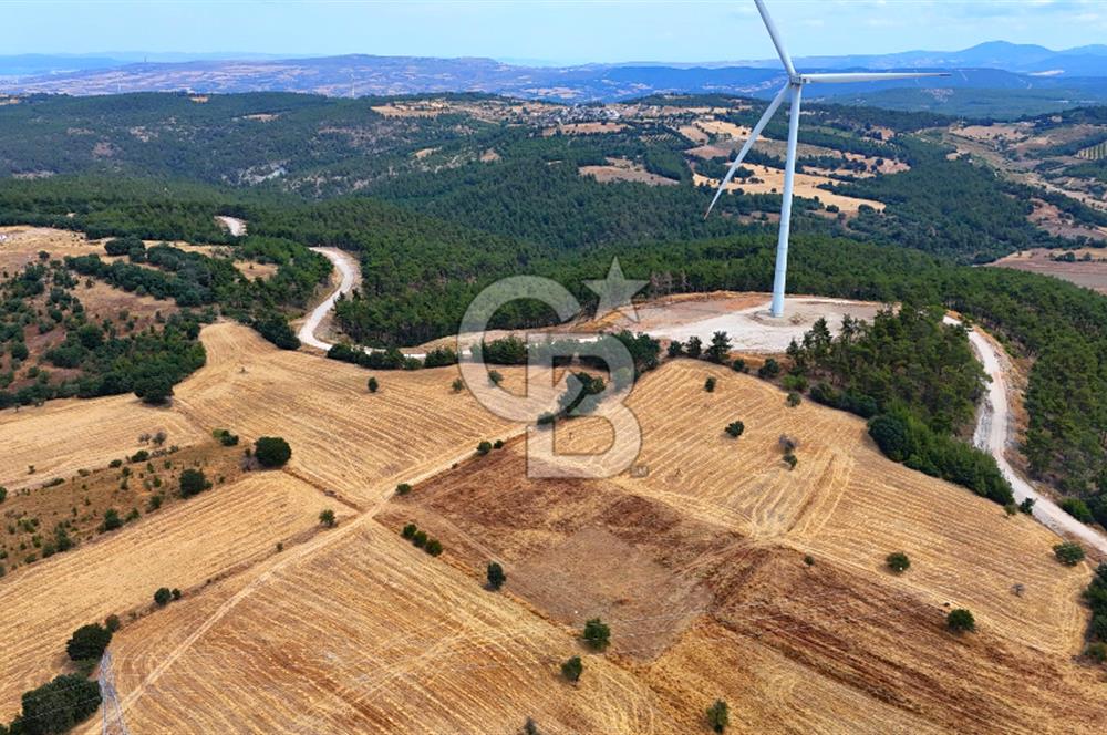 ÇANAKKALE MERKEZ DENİZGÖRÜNDÜ KÖYÜ 8.732 m² SATILIK TARLA