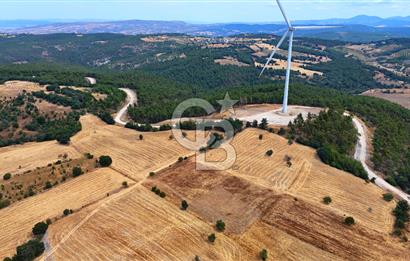 ÇANAKKALE MERKEZ DENİZGÖRÜNDÜ KÖYÜ 8.732 m² SATILIK TARLA
