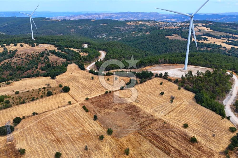 ÇANAKKALE MERKEZ DENİZGÖRÜNDÜ KÖYÜ 8.732 m² SATILIK TARLA