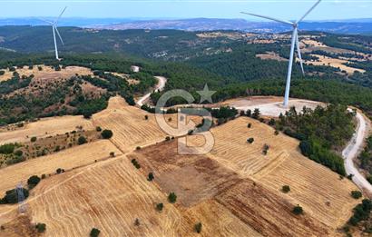 ÇANAKKALE MERKEZ DENİZGÖRÜNDÜ KÖYÜ 8.732 m² SATILIK TARLA