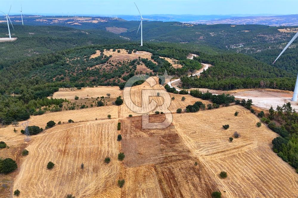 ÇANAKKALE MERKEZ DENİZGÖRÜNDÜ KÖYÜ 8.732 m² SATILIK TARLA