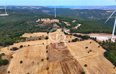 ÇANAKKALE MERKEZ DENİZGÖRÜNDÜ KÖYÜ 8.732 m² SATILIK TARLA