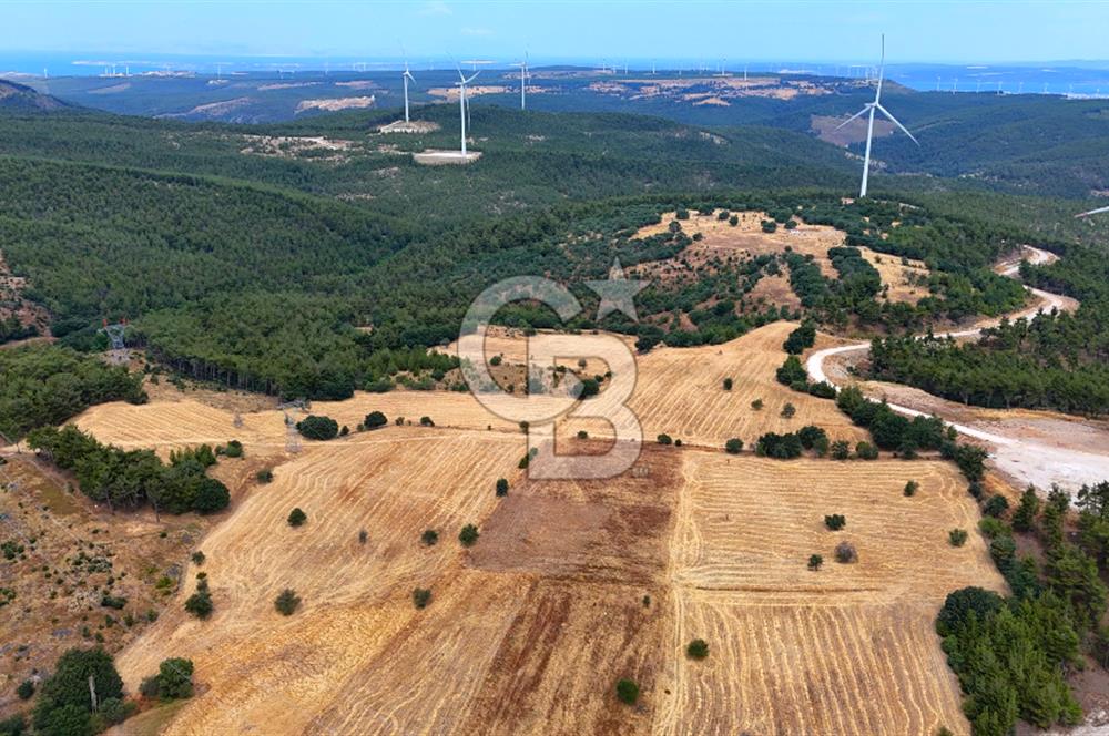 ÇANAKKALE MERKEZ DENİZGÖRÜNDÜ KÖYÜ 8.732 m² SATILIK TARLA