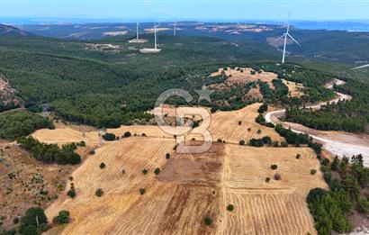 ÇANAKKALE MERKEZ DENİZGÖRÜNDÜ KÖYÜ 8.732 m² SATILIK TARLA