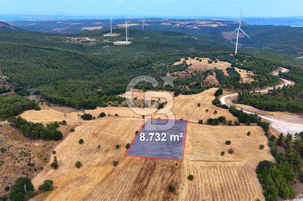 ÇANAKKALE MERKEZ DENİZGÖRÜNDÜ KÖYÜ 8.732 m² SATILIK TARLA