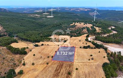 ÇANAKKALE MERKEZ DENİZGÖRÜNDÜ KÖYÜ 8.732 m² SATILIK TARLA