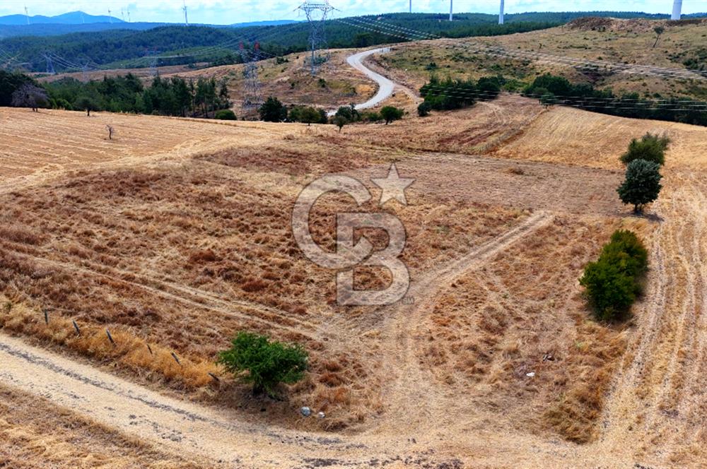 ÇANAKKALE MERKEZ DENİZGÖRÜNDÜ KÖYÜ 8.732 m² SATILIK TARLA