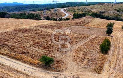 ÇANAKKALE MERKEZ DENİZGÖRÜNDÜ KÖYÜ 8.732 m² SATILIK TARLA